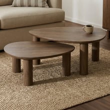 2 Piece Nolan Nesting Coffee Table Set