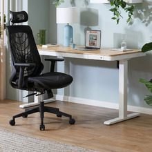 Evan Ergonomic Office Chair with Lumbar Support