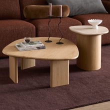 2 Piece Ari Freeform Side & Coffee Table Set