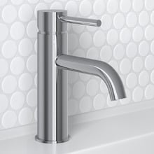 Carson Basin Mixer