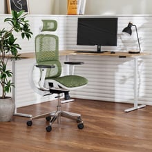Elite Ergonomic Office Chair & Leo Electric Corner Desk Set