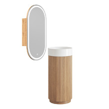 Nomad 410mm Freestanding Vanity Package with LED Shaving Cabinet & Hook