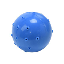 Blue Thirst Quencher Cooling Ball Dog Ball