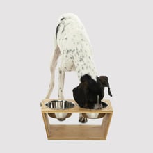 Bamboo Dog Feeder with Stainless Steel Bowls