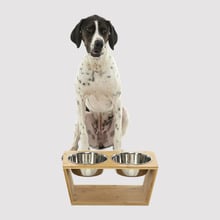 Bamboo Dog Feeder with Stainless Steel Bowls