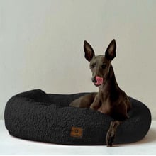 Donut Boucle Dog Bed