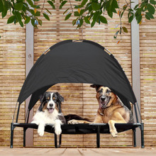 Elevated Dog Bed with Tent