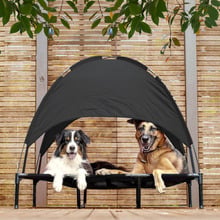Elevated Dog Bed with Tent