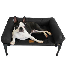 Elevated Trampoline Bolster Dog Sofa Bed