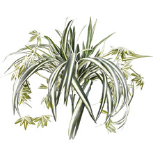 60cm Faux Hanging Spider Plant Bush