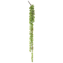 74cm Faux Long String of Pearls Hanging Plant (Set of 6)
