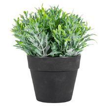 17cm Salvador Potted Faux Finger-Grass