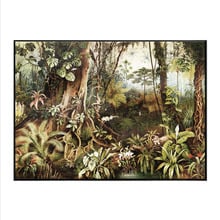 Vintage Jungle Canvas Wall Art