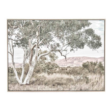 Stringybark Tree Framed Canvas Wall Art