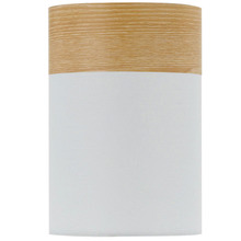 Nalada Metal Batten Fix Ceiling Light