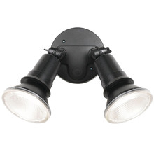 Lucius 2 Light 20W LED Spotlight