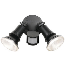 Lucius 2 Light 20W LED Sensor Spotlight