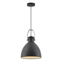 Fundal Metal Pendant Light