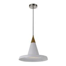 Ekland Metal Pendant Light