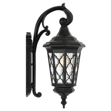 Black Brinley Outdoor Wall Light