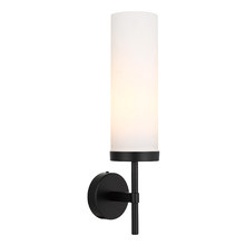 Alexia Black Iron Metal & Glass Wall Lamp