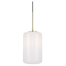 Alayna Medium Iron Pendant Light