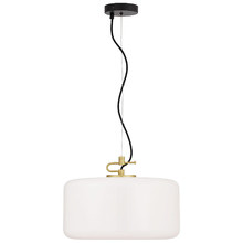 Alayna Large Iron Pendant Light