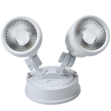 Luxer 2 Light 20W LED Sensor Spotlight