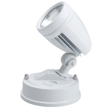 Luxer 1 Light 10W LED Spotlight