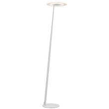 Pauline LED Floor Lamp
