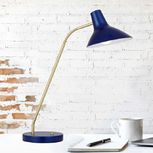 Esmee Metal Desk Lamp