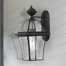 Rye Brass Wall Light
