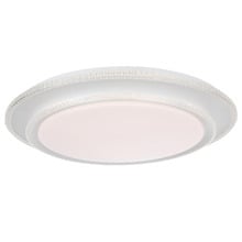 Reyansh 50cm Oyster Light