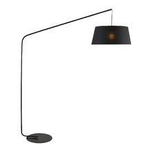 Lainie Iron Floor Lamp