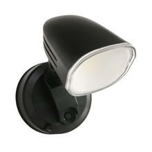 Ikeda LED Security Light