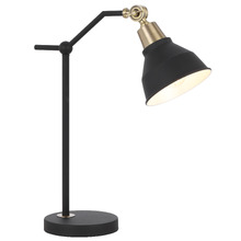 Rollant Iron Table Lamp