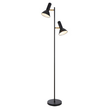 Floro Iron Floor Lamp