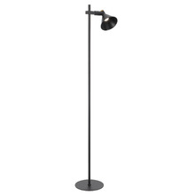Klemens Iron Floor Lamp