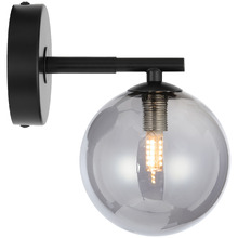 Calista Iron & Smoked Glass Wall Sconce