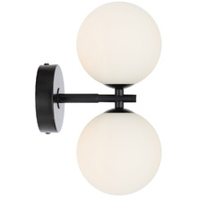 Calista Iron & Frosted Glass 2 Light Wall Sconce
