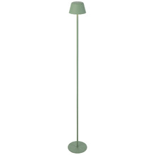 Nyssa Metal LED Cordless Floor Lamp with USB