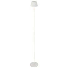 Nyssa Metal LED Cordless Floor Lamp with USB