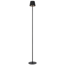 Elea Metal LED Cordless Floor Lamp with USB