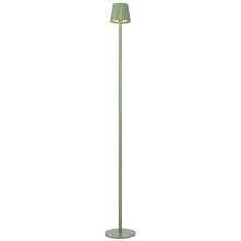 Elea Metal LED Cordless Floor Lamp with USB