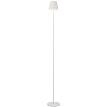 Elea Metal LED Cordless Floor Lamp with USB