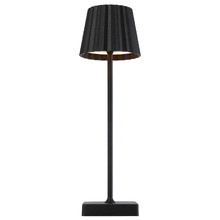 Elea Iron LED Cordless Table Lamp with USB