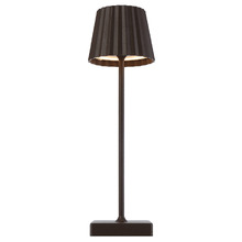 Elea Iron LED Cordless Table Lamp with USB