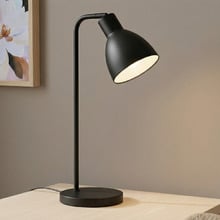 Pivot Iron Gooseneck Desk Lamp