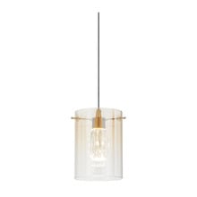 Ximena Metal & Glass LED Pendant Light