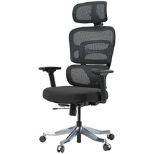 Axion Ergonomic Desk Chair
